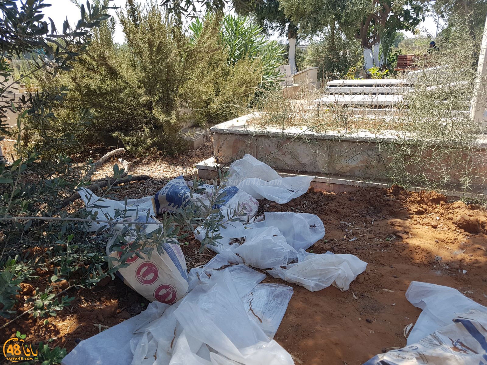 tasoo mabkqbara (1).jpg